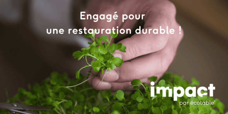 Pour une restauration sobre et durable : Ecotable impact - partenaire de Simmae