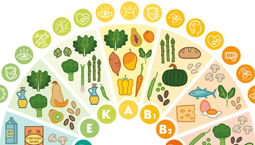 Vitamines préservées avec la marmite norvégienne