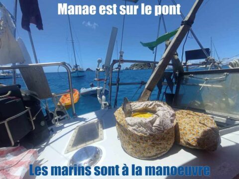 La marmite norvégienne sur un voilier : Manae au départ d'une transat !