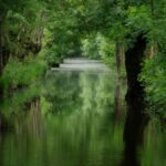 marais poitevin nature