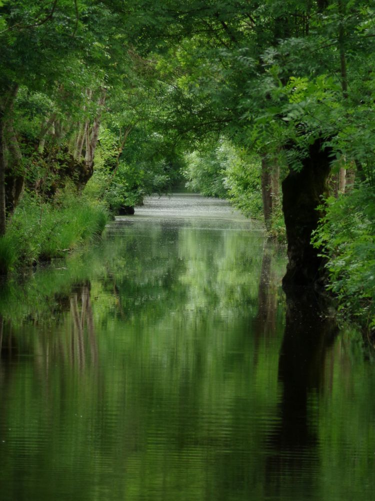 La marmite norvégienne fait de belles rencontres dans le marais poitevin