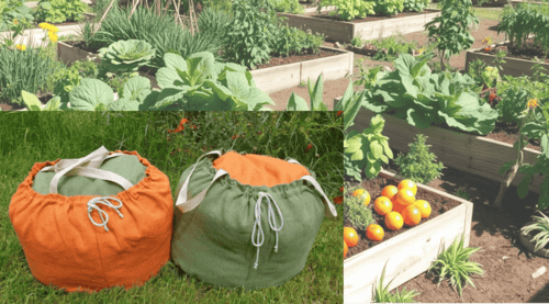 Marmite norvégienne Simmae et permaculture