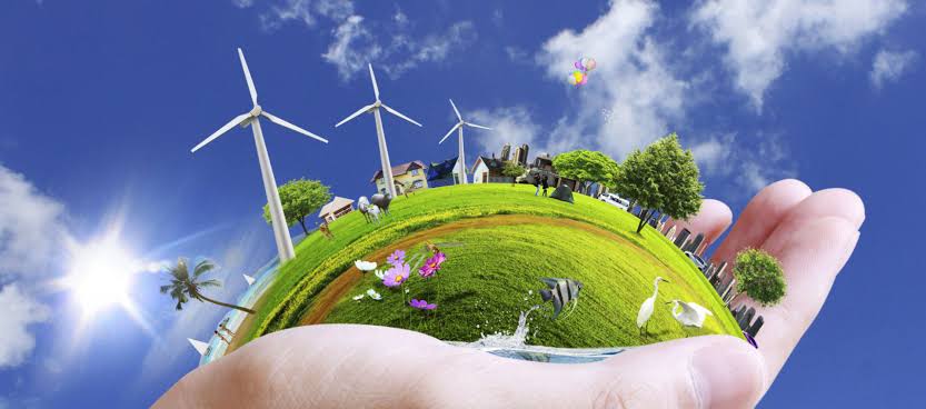 Cuisine écologique, la Marmite Norvègienne réduit de 70% votre consommation d'énergie a la cuisson. 