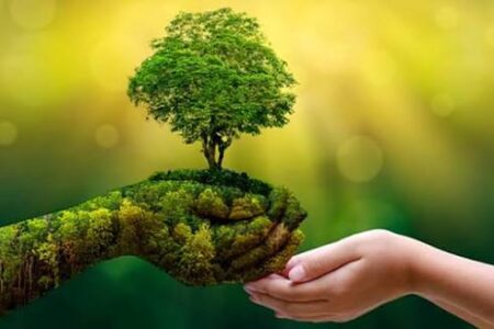 Cuisine écologique : comment la marmite norvégienne réduit votre consommation d’énergie